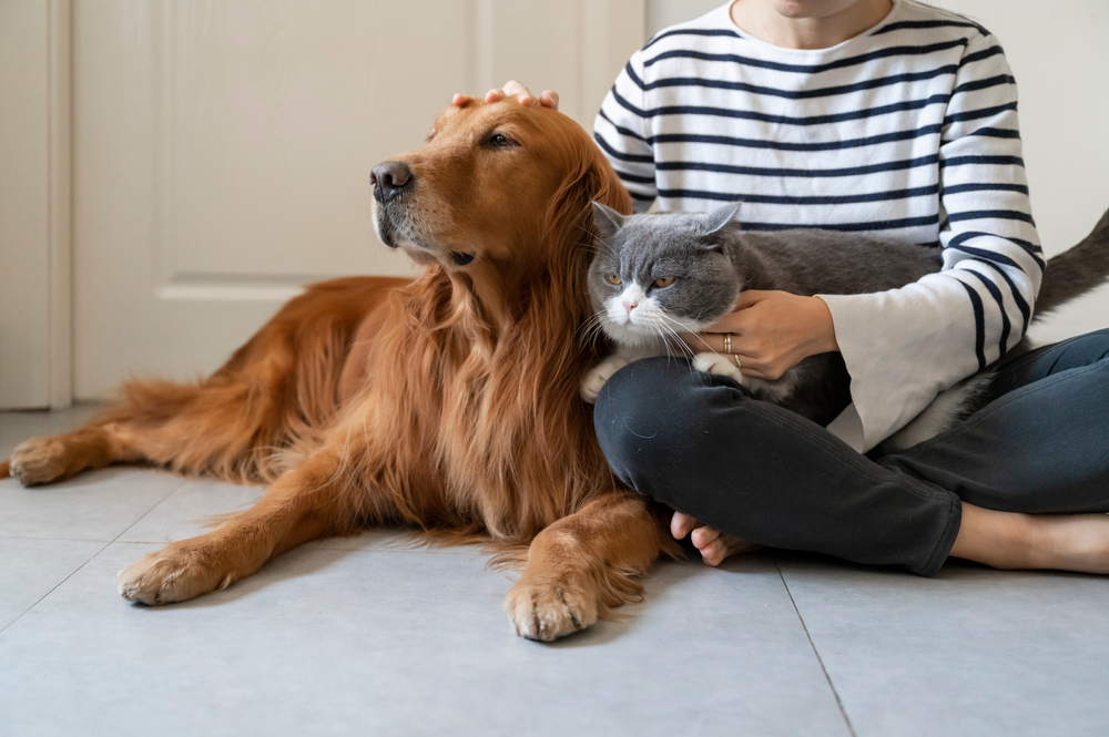 Do Cats Get Jealous of Dogs? Feline Emotions Explained (Vet-Reviewed)