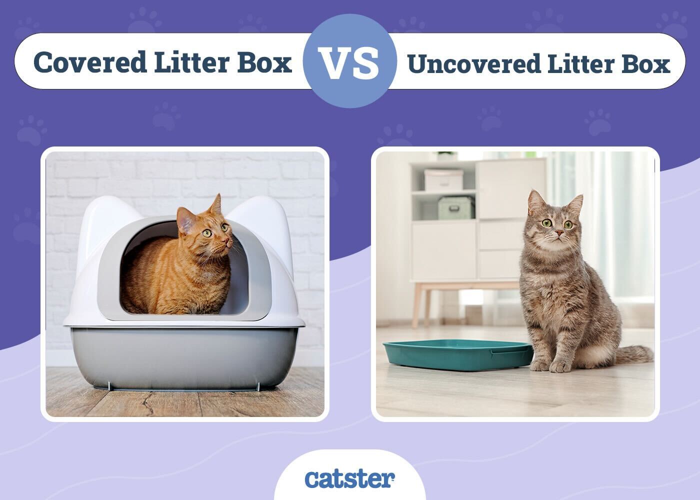 Covered vs Uncovered Litter Box: Our 2026 Comparison, Pros & Cons