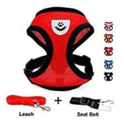 INVENHO Mesh Harness for Cats with Leash and Seatbelt