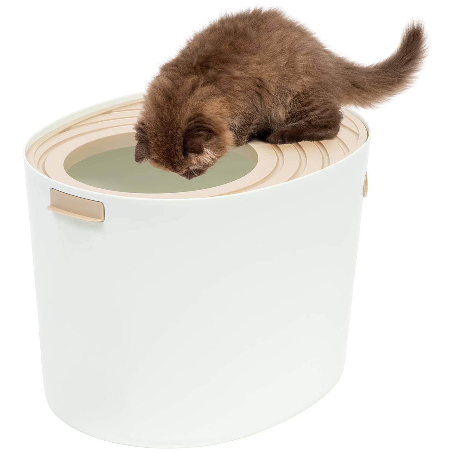 IRIS Top Entry Cat Litter Box