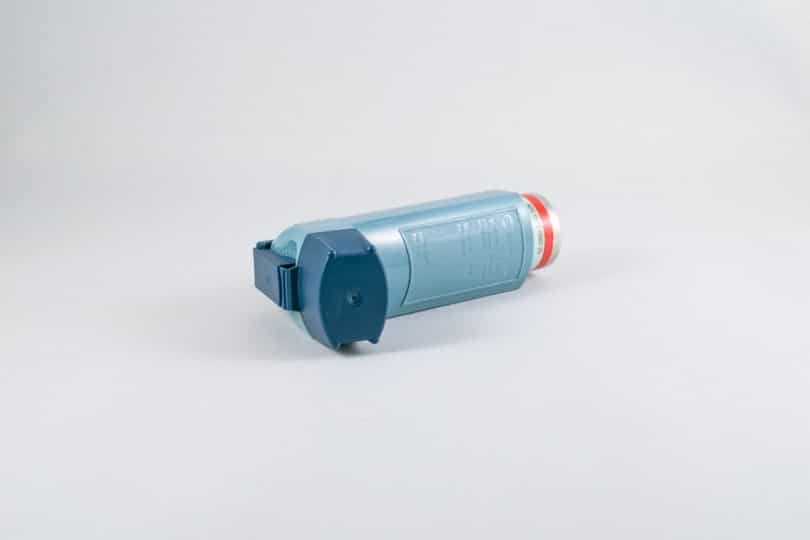 If I Have Asthma, Can I Have a Cat? Vet-Reviewed Facts & FAQ