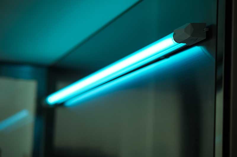 Does UV Light Kill Fleas on Cats? Vet-Reviewed Effectiveness, Safety & Alternatives