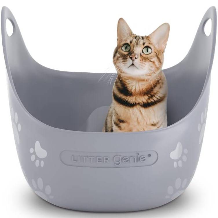 Litter Genie Litter Box