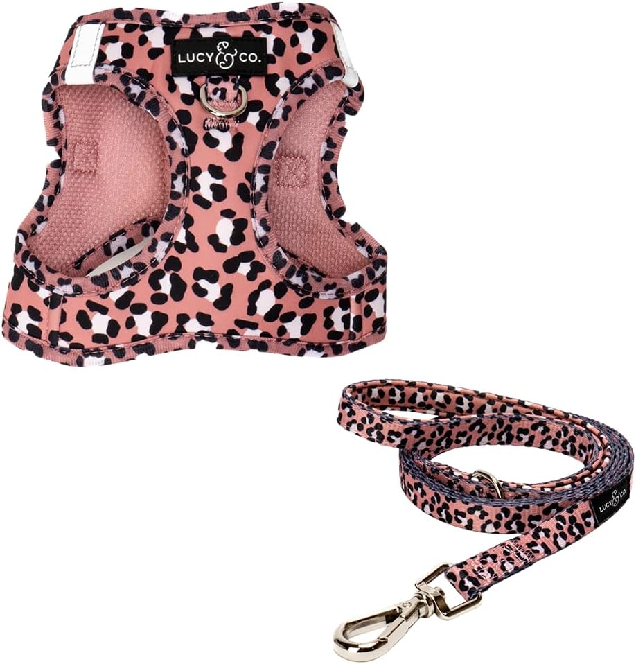 Lucy & Co. Wild Side Step-in Cat Harness & Leash Bundle