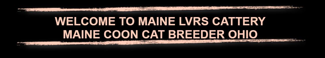 Maine Lvrs