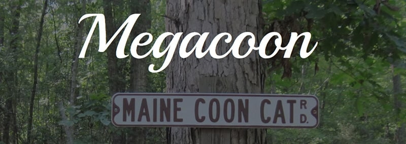 Megacoon logo