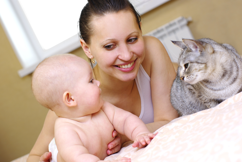 Can Babies Be Allergic to Cats? Facts & FAQ