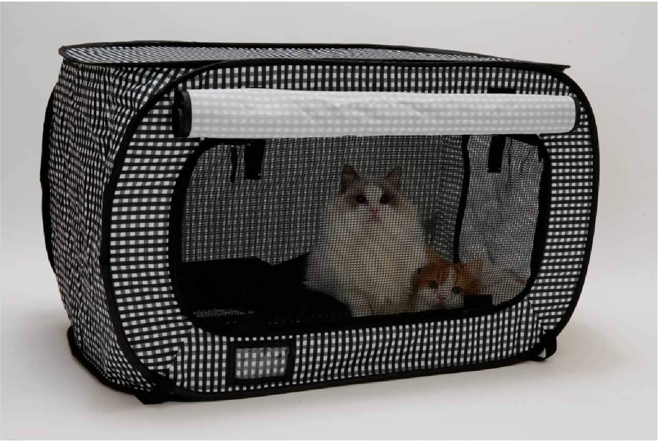 6 Best Cat Carriers for Two Cats in 2026 - Reviews & Top Picks