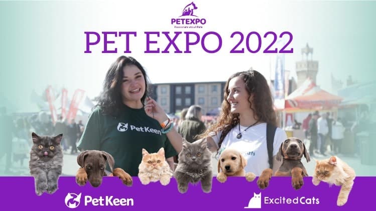 Pet Expo (World of Dogs and Cats): Visiting Africa's Biggest Pet Event