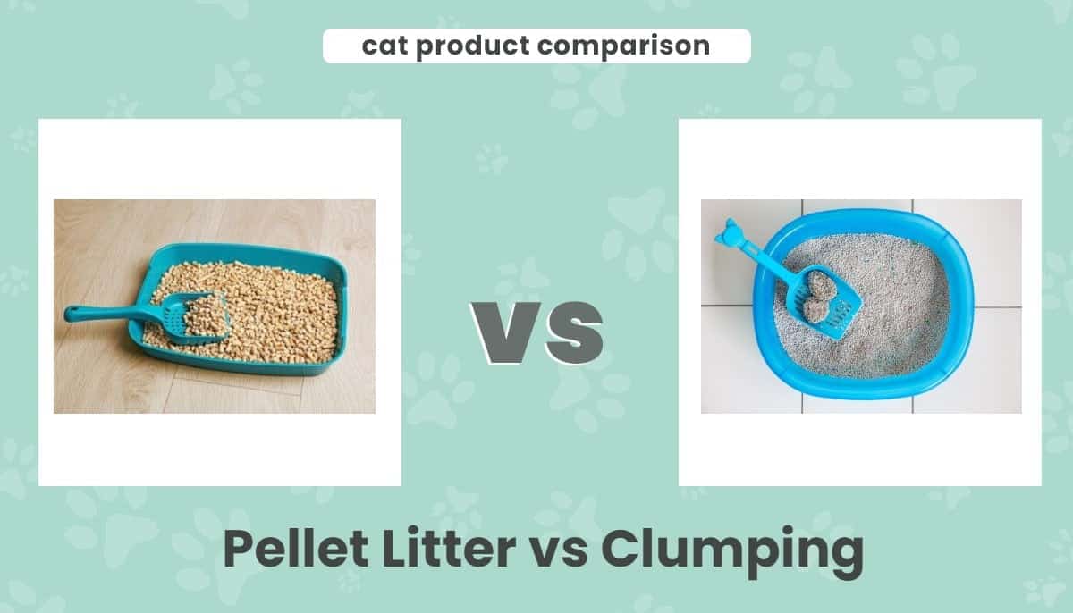 Pellet Litter vs Clumping: Our 2026 Comparison, Pros & Cons