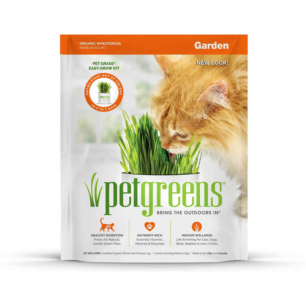 PetPet Greens Pet Grass