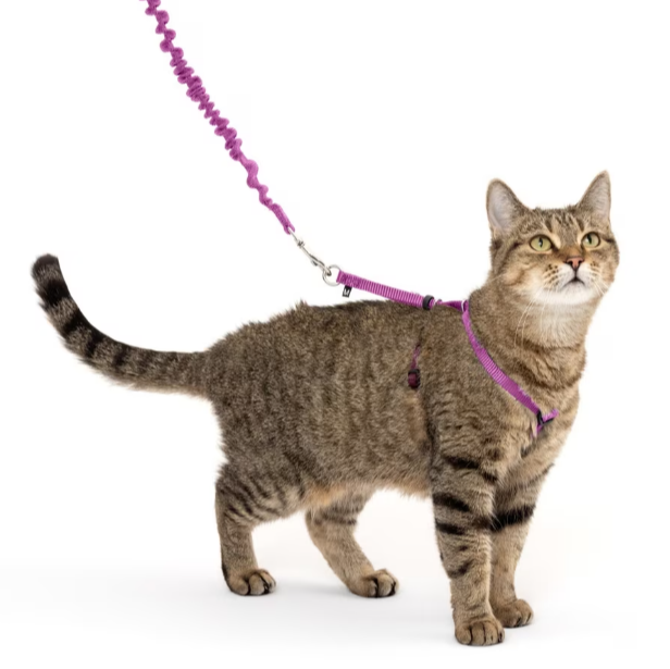 PetSafe Come With Me Kitty Nylon Ca