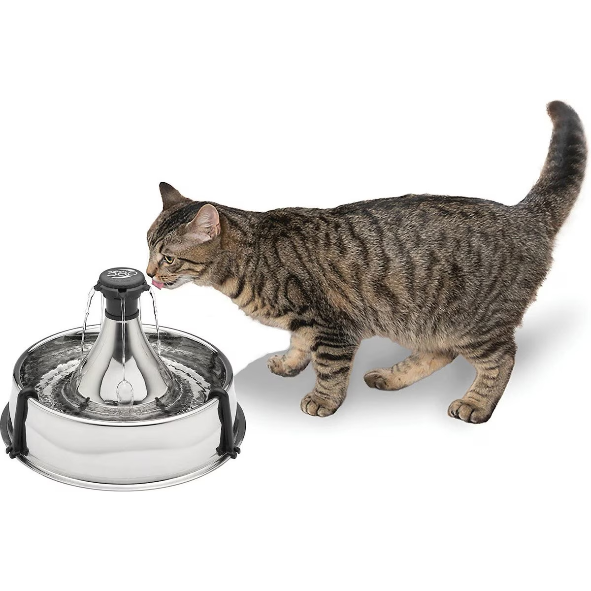 PetSafe Drinkwell 360 Stainless Steel Cat & Dog Water Fountain