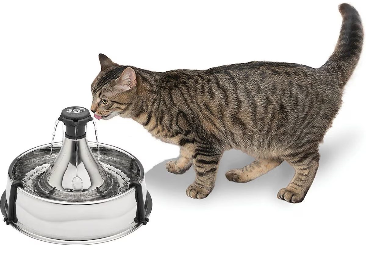 PetSafe Drinkwell 360 Stainless Steel Cat &amp; Dog Water Fountain