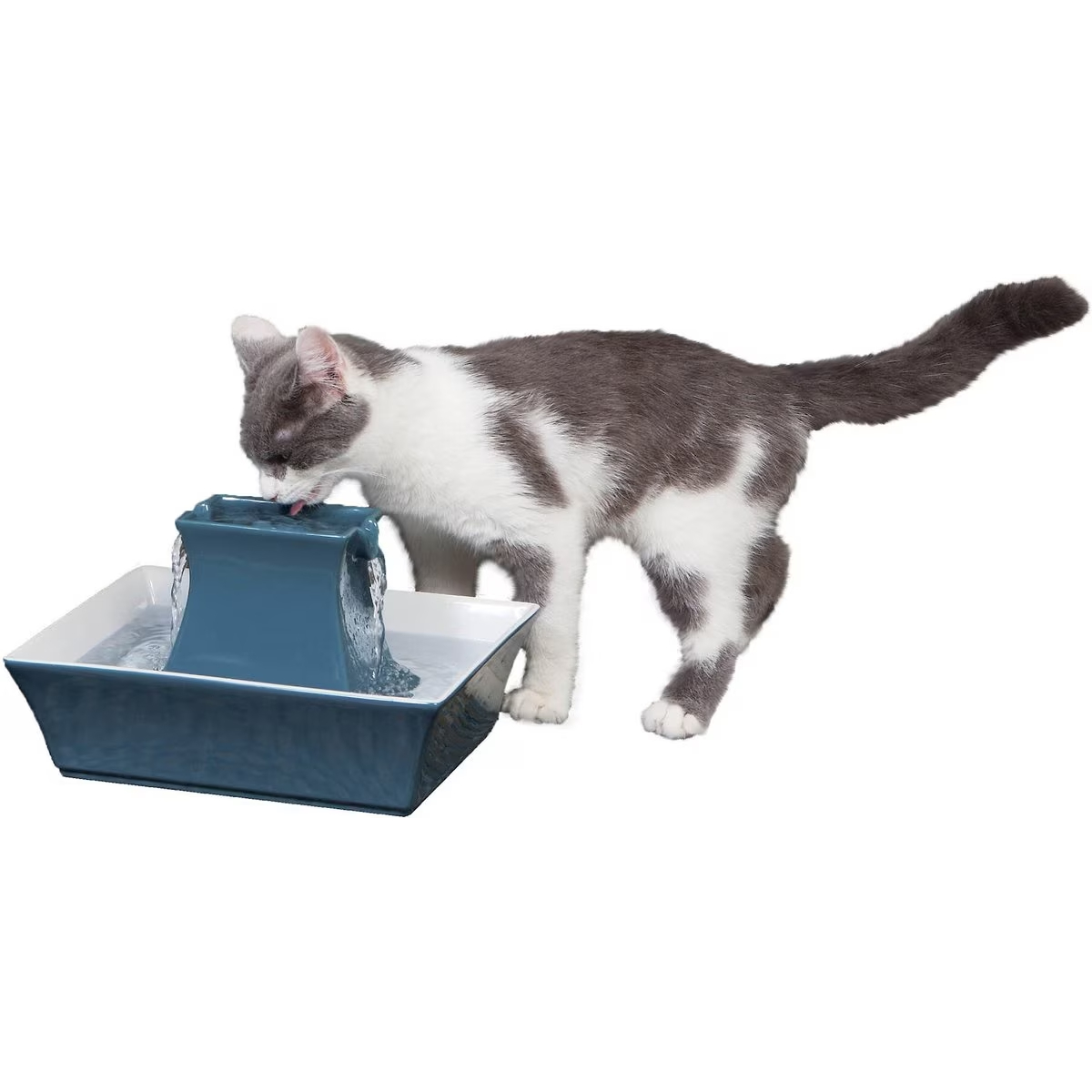 PetSafe Drinkwell Pagoda Pet Fountain
