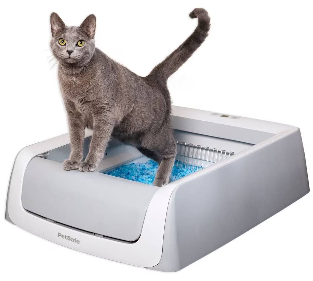 PetSafe ScoopFree Automatic Cat Litter Box