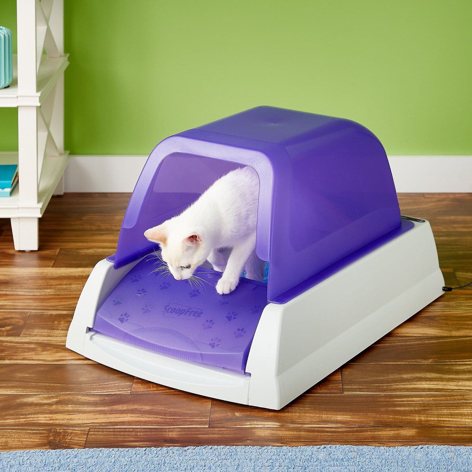 9 Best Crystal Cat Litters of 2026 - Reviews & Top Picks