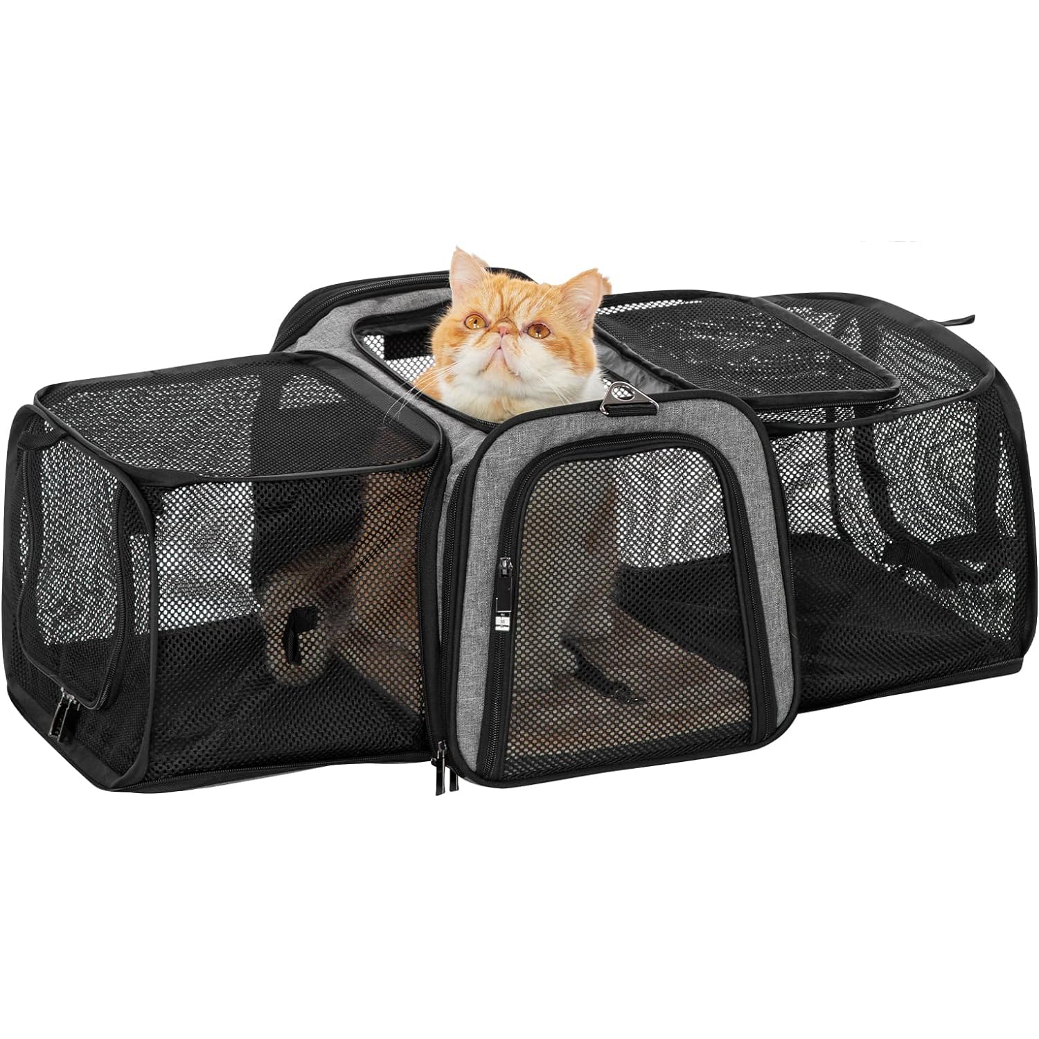 Petsfit 17_ x 11_ x 11_ Expandable Pet Carrier Airline Approved for Travel, Maximum Pet Weight 15 Pounds