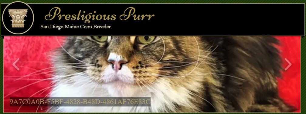 Prestigious Purr