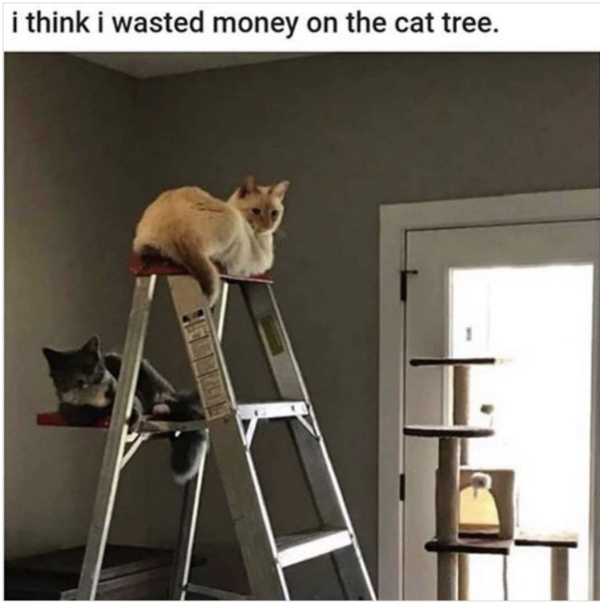Money Wasted