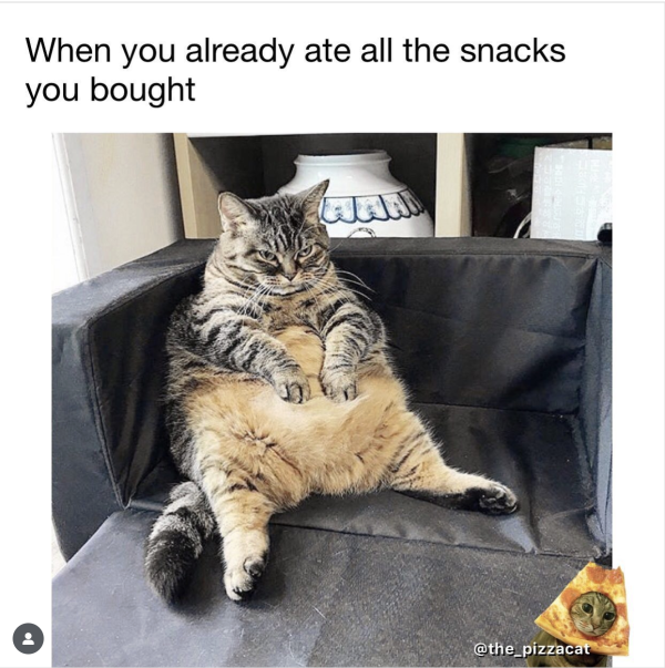 Need Food