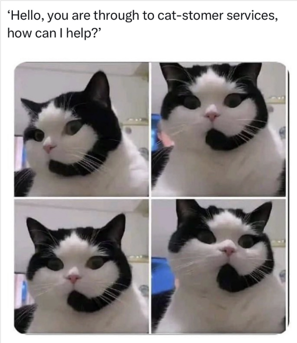 How can I hep you