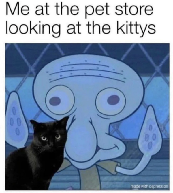 At the pet store