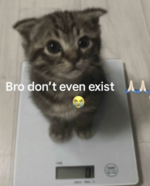 Tiny Boy