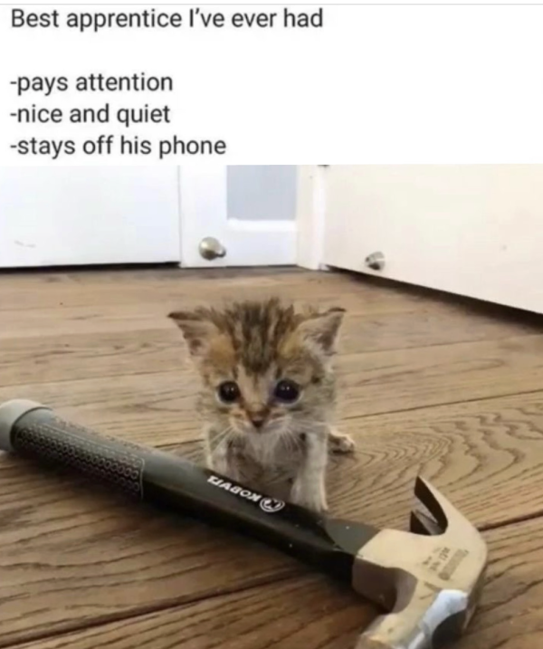 Hard Worker