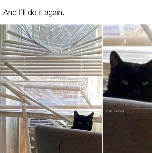 Don’t Test Me
