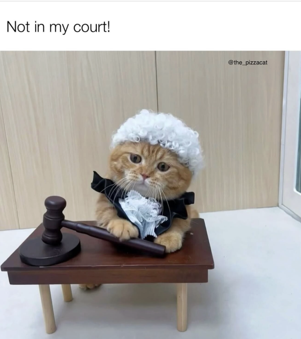 Objection!