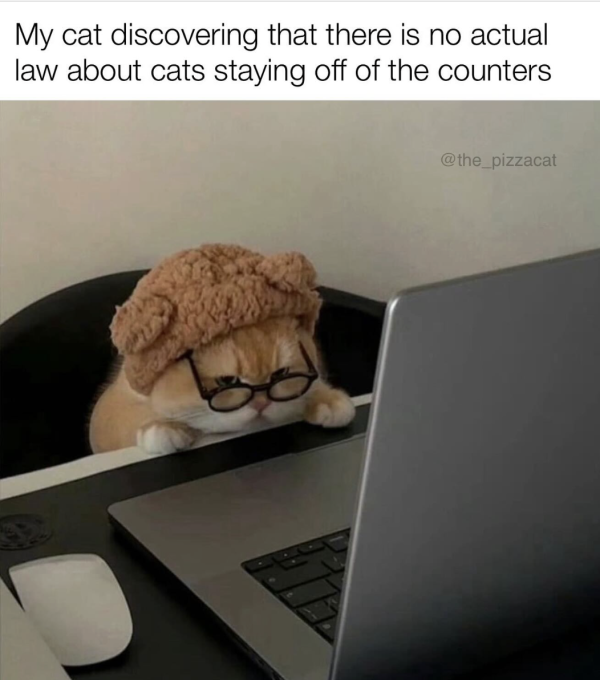 It Was All a Lie