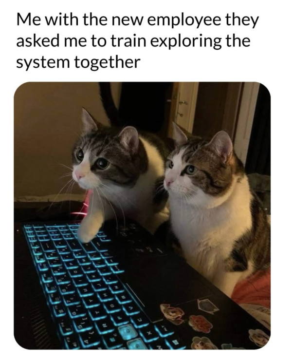 Pay Attention