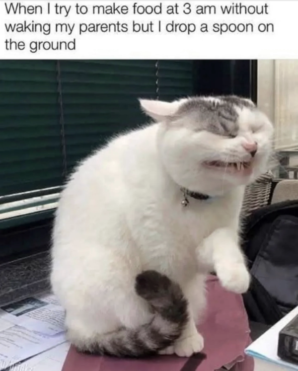 Please Don’t Wake Up