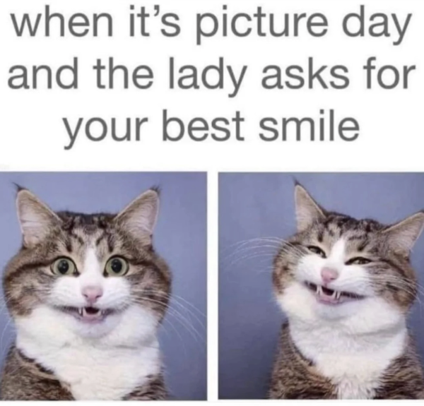 Say Catnip!