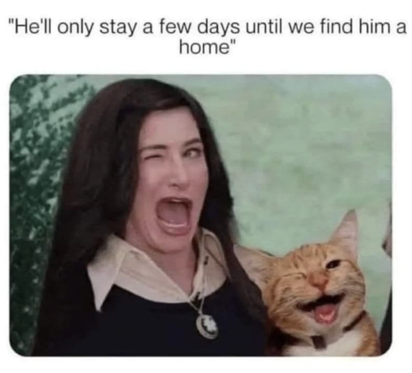 Wink Wink