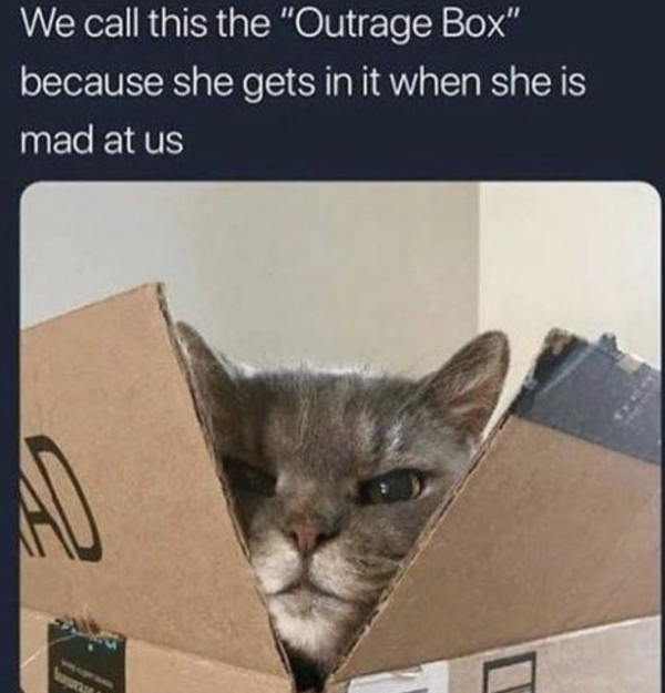 Outrage Box