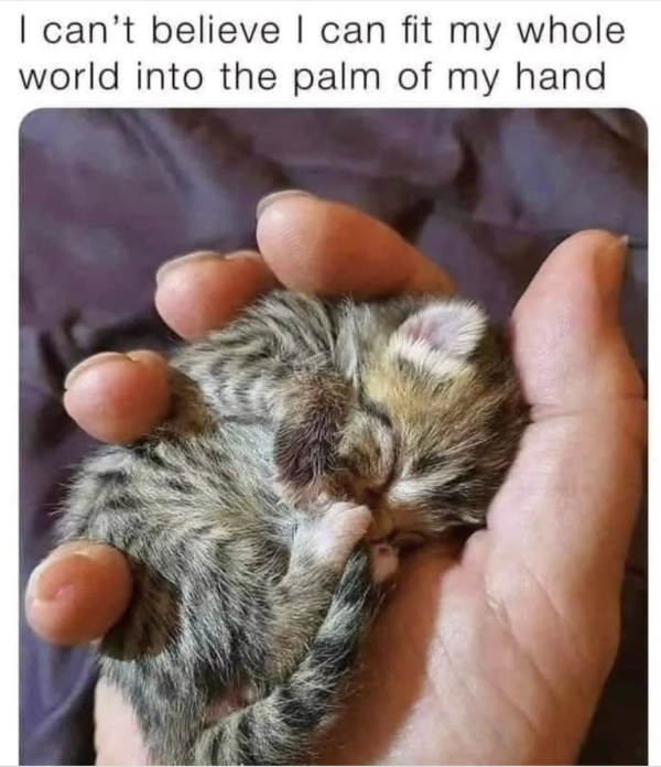 The Whole World