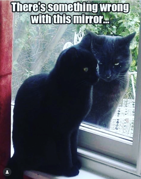 The Mirror