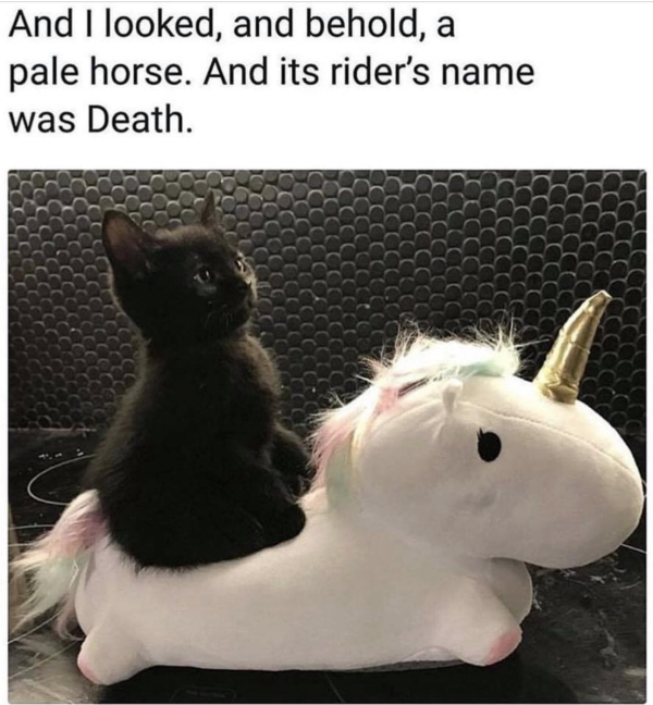 Pale Horse Rider