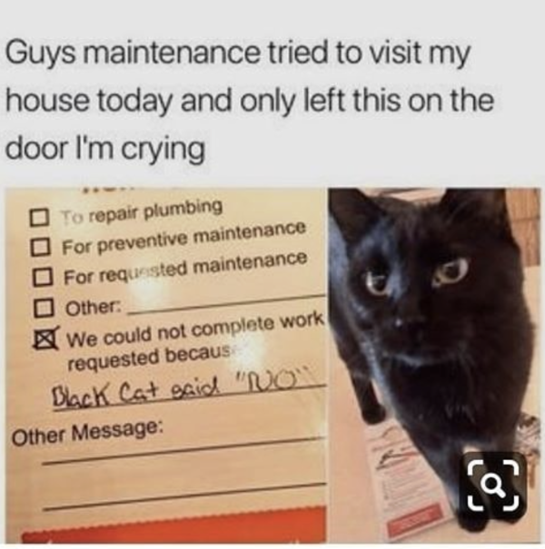 Special Delivery