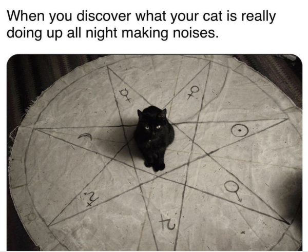 What Do They Do All Night?