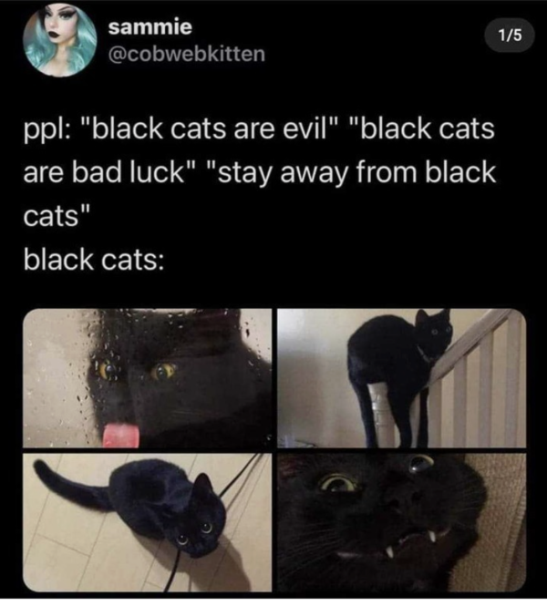 Silly