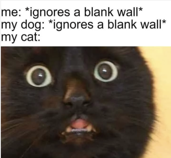 Staring At the Wall