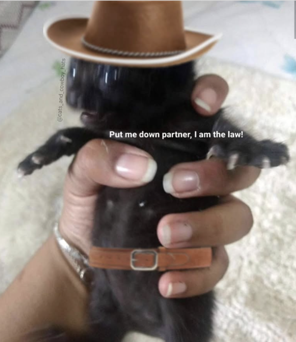 Yeehaw