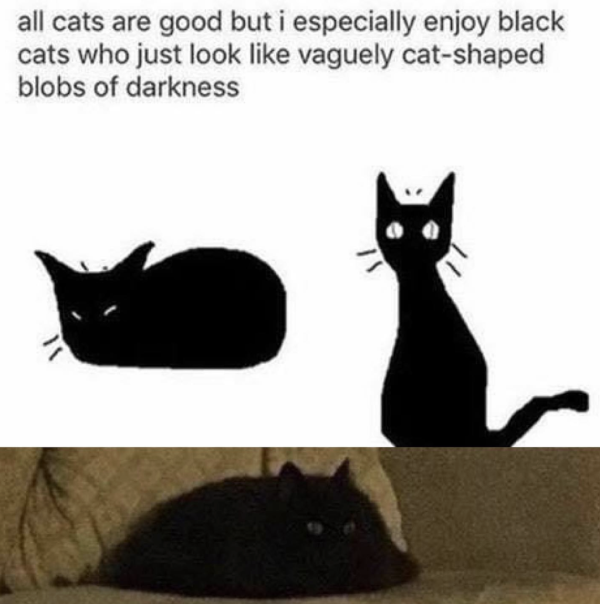 Cat Blobs