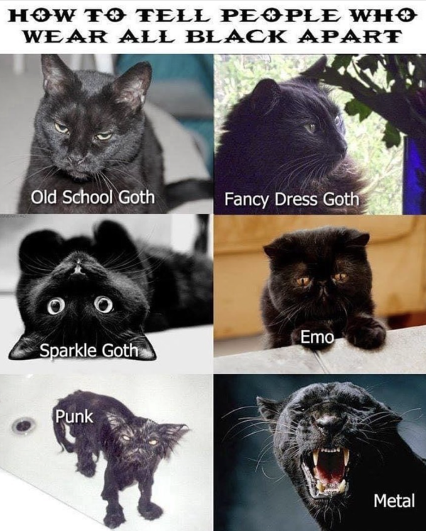 Goths