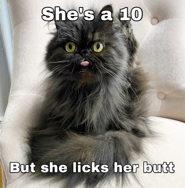 She’s a 10 but…