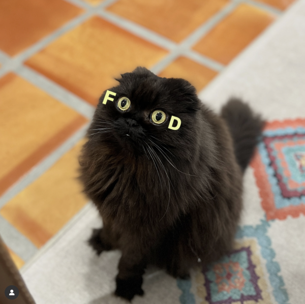 Starving