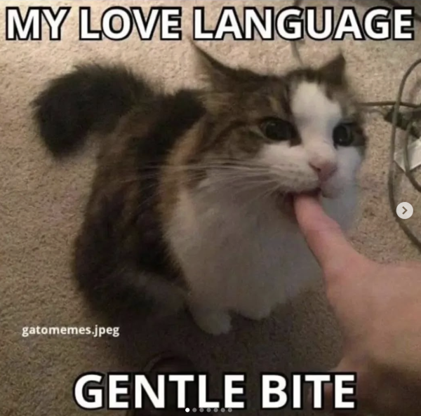 Bite Them